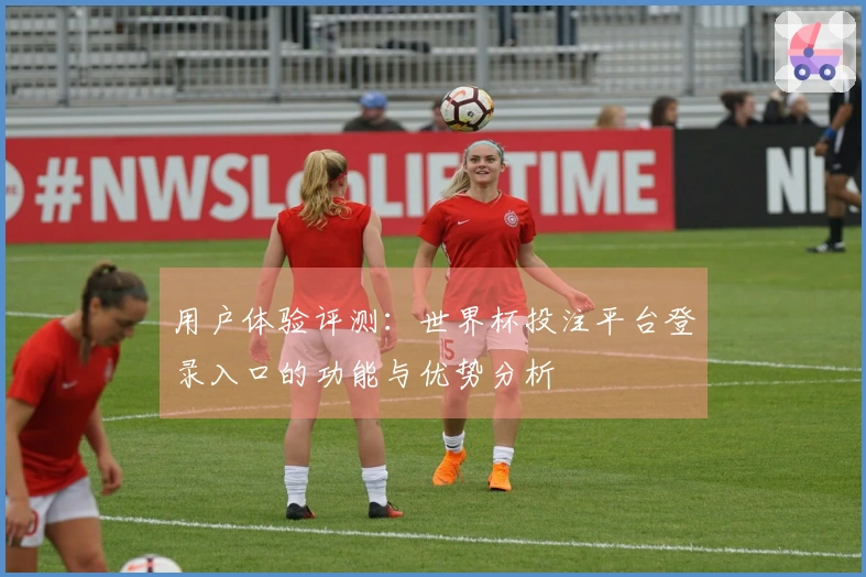 用户体验评测：世界杯投注平台登录入口的功能与优势分析