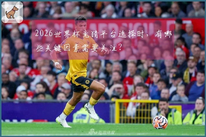 2026世界杯竞猜平台选择时，有哪些关键因素需要关注？