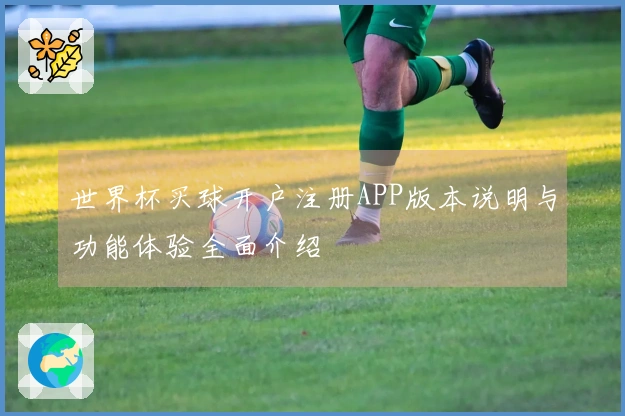 世界杯买球开户注册APP版本说明与功能体验全面介绍