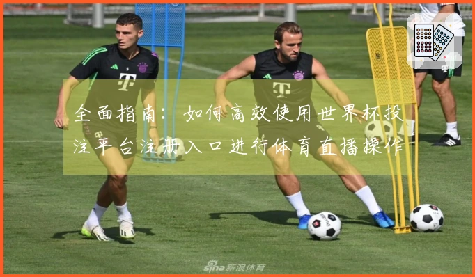 全面指南：如何高效使用世界杯投注平台注册入口进行体育直播操作
