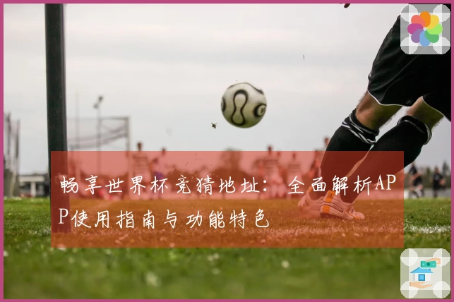 畅享世界杯竞猜地址：全面解析APP使用指南与功能特色