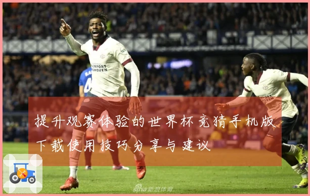 提升观赛体验的世界杯竞猜手机版下载使用技巧分享与建议