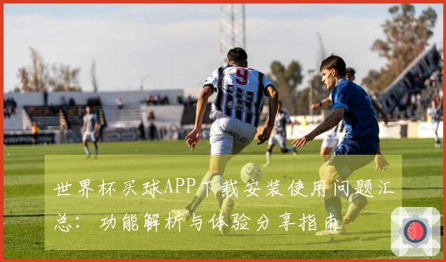 世界杯买球APP下载安装使用问题汇总：功能解析与体验分享指南