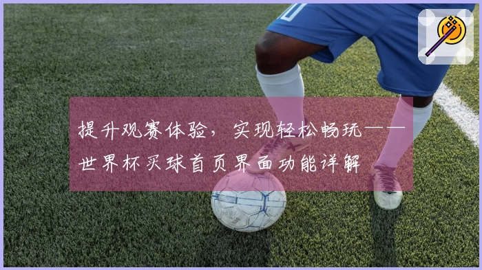 提升观赛体验，实现轻松畅玩——世界杯买球首页界面功能详解
