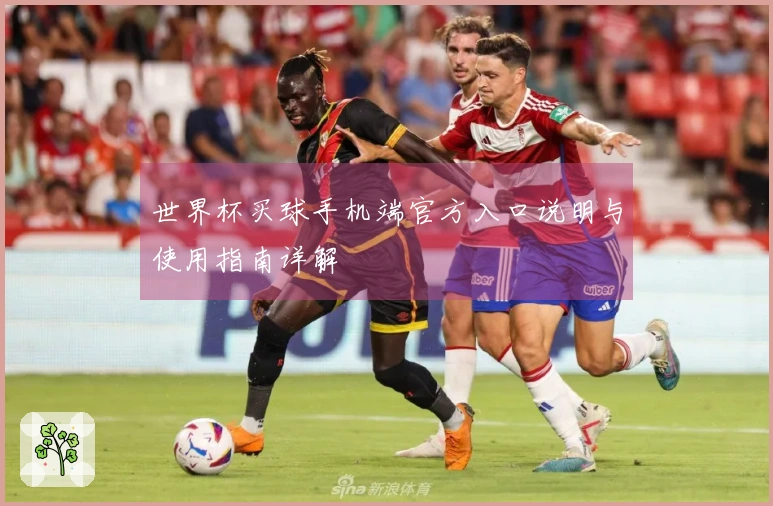 世界杯买球手机端官方入口说明与使用指南详解