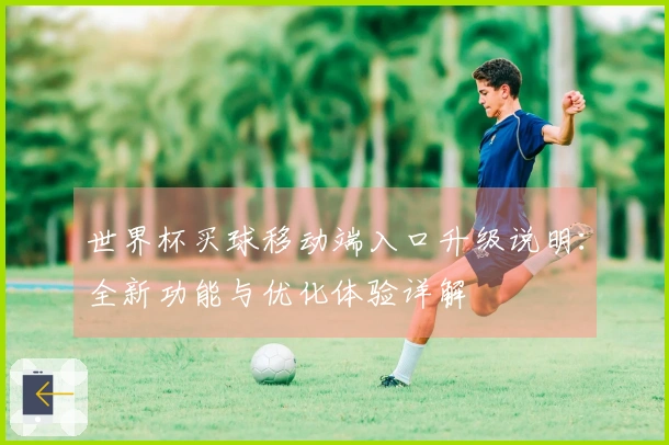 世界杯买球移动端入口升级说明：全新功能与优化体验详解