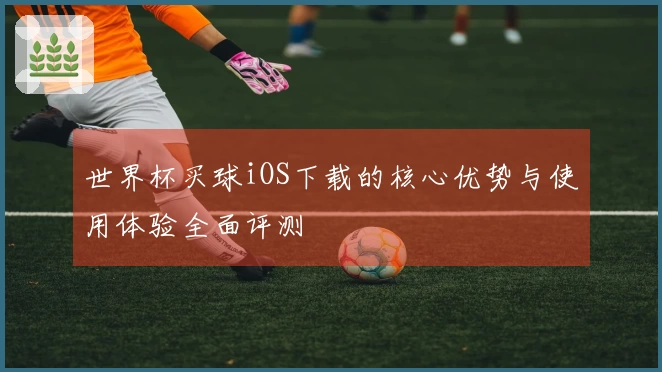 世界杯买球iOS下载的核心优势与使用体验全面评测