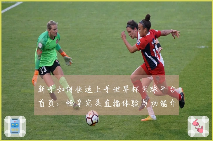 新手如何快速上手世界杯买球平台首页，畅享完美直播体验与功能介绍