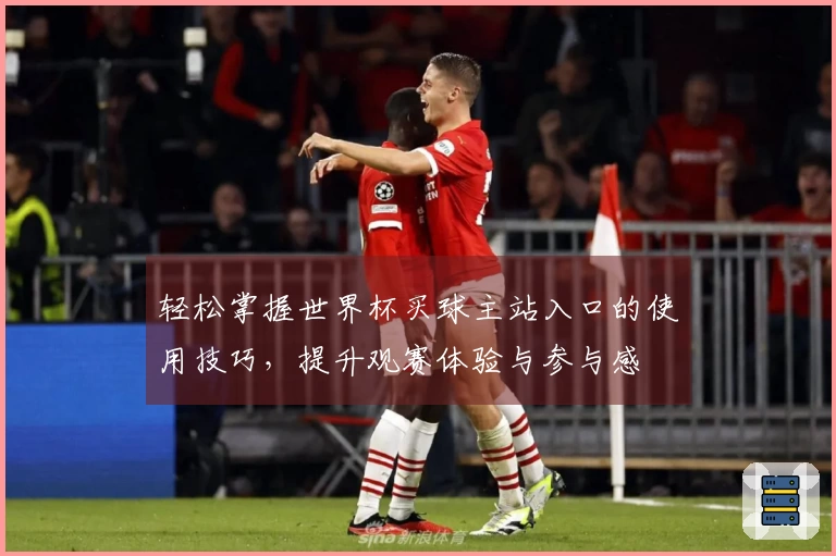 轻松掌握世界杯买球主站入口的使用技巧，提升观赛体验与参与感