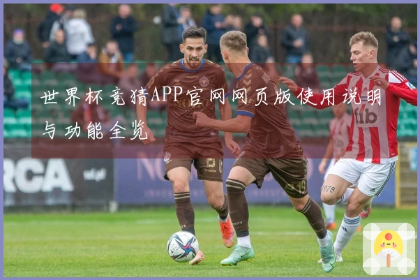 世界杯竞猜APP官网网页版使用说明与功能全览