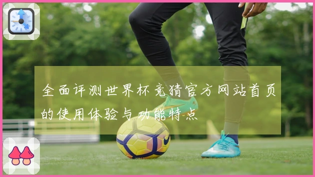 全面评测世界杯竞猜官方网站首页的使用体验与功能特点