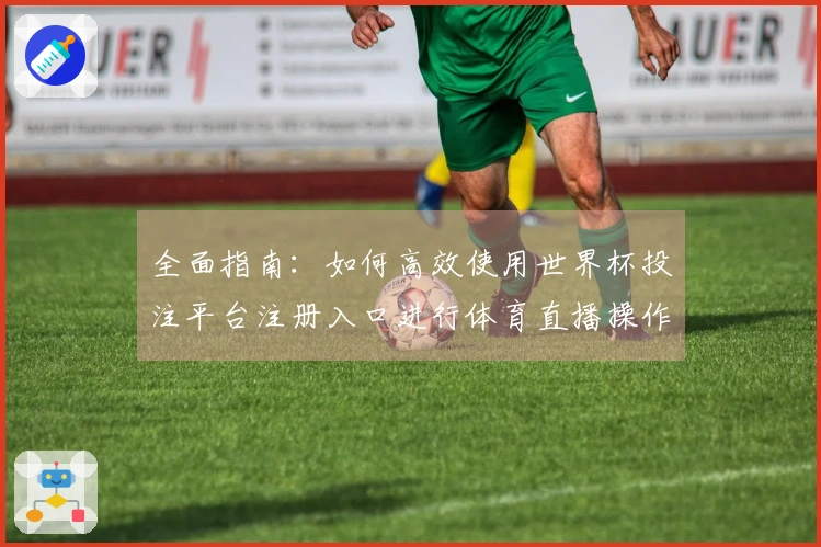 全面指南：如何高效使用世界杯投注平台注册入口进行体育直播操作
