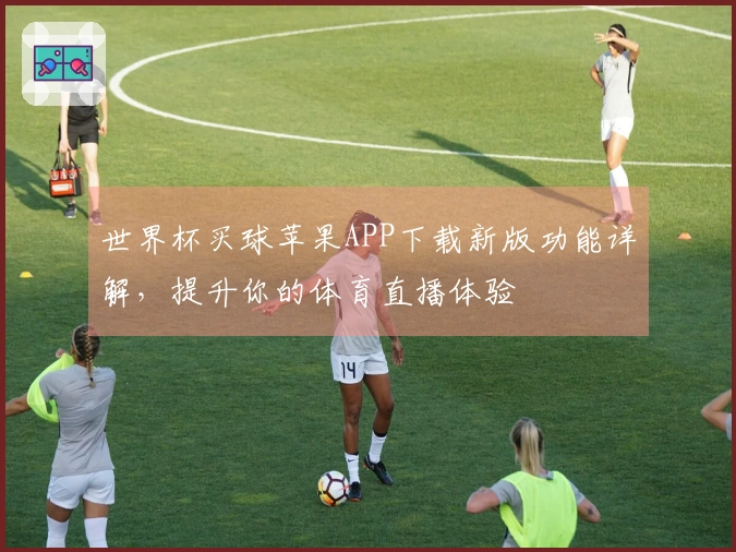 世界杯买球苹果APP下载新版功能详解,提升你的体育直播体验