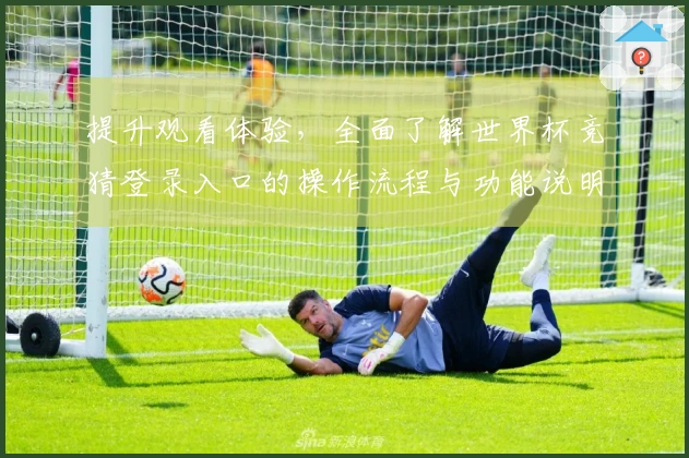 提升观看体验，全面了解世界杯竞猜登录入口的操作流程与功能说明